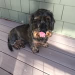 Max Duffield - @maxduffmayor - Instagram