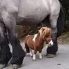 Max Dorfner - @max.drfner - TikTok