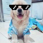 Max Duke van Montecarlo II - @i.am_max___ - Instagram