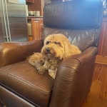 Max Dunaway - @dunaway_max - Instagram