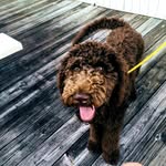 Maxwell Dunaway - @_chocolate_max - Instagram