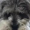 maxwelldurham6 - @maxwell.durham - TikTok