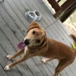 Max A million - @max.dvorak10 - Instagram