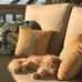 Maxine Dvorak - Facebook