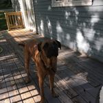 Oscar Max Dvorak - @oscar_dvorak - Instagram