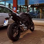 Max Eckelt - @maxeckelt - Instagram