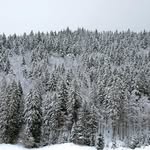Max Eckerlin - @eckerlinmax - Instagram