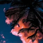 Max - @max.eckermann - Instagram