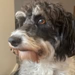 @maxecker09 - Instagram