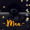 ~.Max.~ - @max_teddy_04 - TikTok