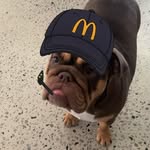 Max Edmondson - @max_edmondson - Instagram