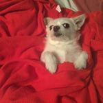 Max Edmonds - @maxedmonds12 - Instagram