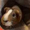 max - @max.egbert - TikTok