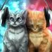 Einhorn  Max - Facebook