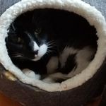 Max the Elder - @max_the_elder - Instagram