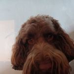 Max Eldridge - @max.eldridge66 - Instagram