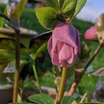 Max Eley - @maxeley_photography - Instagram