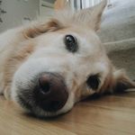 Max Emery - @maxiboy_2277 - Instagram