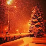 Max Ender - @chopray00 - Instagram