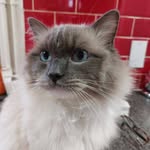 Maxine Enfield - @maxineenfield - Instagram