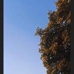 Nitin Kushwaha - @max_enfield_up_70_ - Instagram