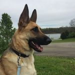 Max England - @max_7457 - Instagram