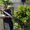 Max Eriksson - @maxeriksson31 - TikTok