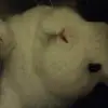 Max Ermakov - @max.ermakov - TikTok