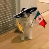 Max Esteban - @max.esteban13 - TikTok