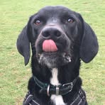 Max Etheridge - Facebook
