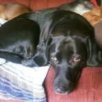 Max Etheridge - Facebook