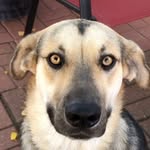 Max Evenson - @_menotomy_max - Instagram