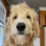 Max Ewing - @mycrazydoodle - Instagram