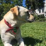 Little Ez - @ezra_max_ - Instagram