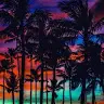 Max Faller - @palmtreeintheocean - TikTok