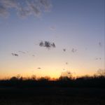 Max Fallon - @fallon_max - Instagram