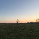 @max_fallon_ - Instagram
