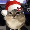user2822686956291 - @maxfanty - TikTok