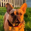 Max Farr - @max.farr6 - TikTok