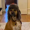 Maxf - @maxfarris4 - TikTok