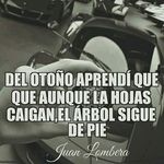 Max Farris - @max.farris.77 - Instagram