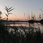 faust - @max__faust - Instagram