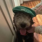 Max - @maxwell_feinberg - Instagram