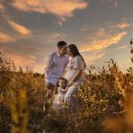 Max Fenster - Facebook