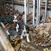 maxfetzer348 - @maxfetzer368 - TikTok