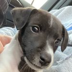Max Findley - @findley_max - Instagram