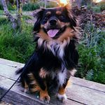 @maximus_findley - Instagram