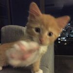 “Max” aka Fishman/Duck/Ducky - @max_fishman_ - Instagram