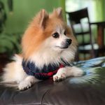 Max Fishman - @maxie_fishman - Instagram