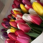 Тюльпаны | Усть-Каменогорск - @maxflowers_oskemen - Instagram